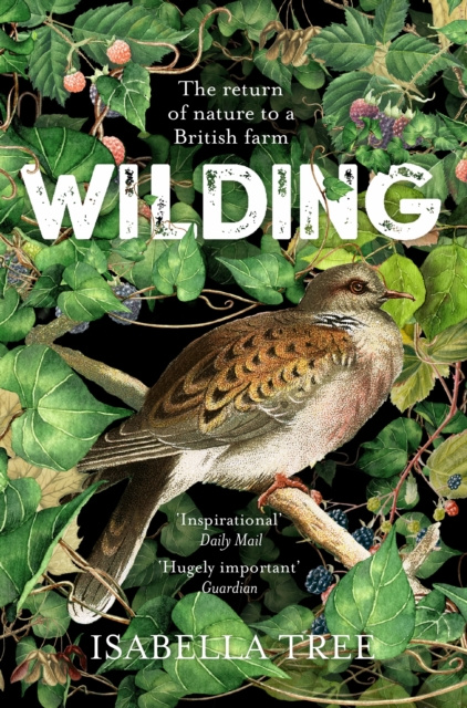 ebook Wilding Isabella Tree