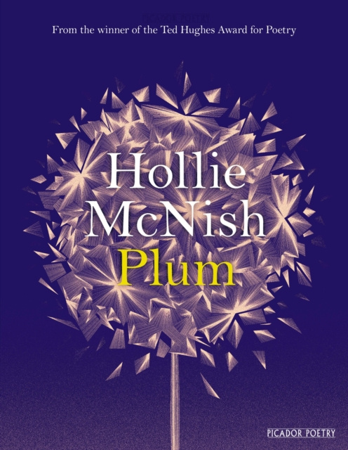 E-book Plum Hollie McNish