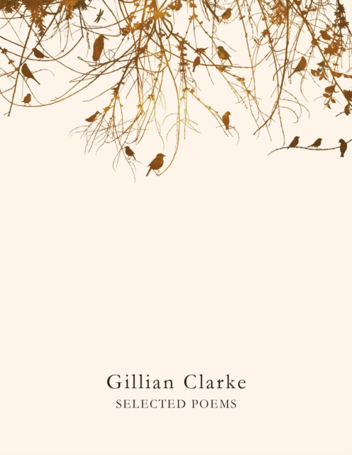 E-knjiga Selected Poems Gillian Clarke