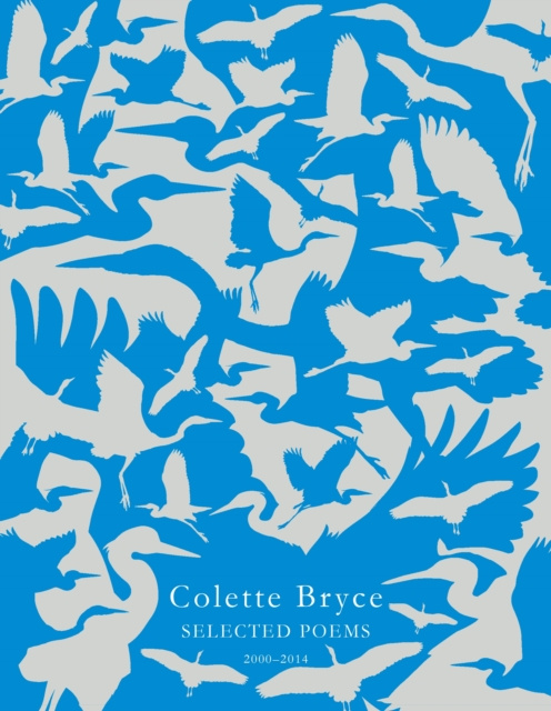 E-knjiga Selected Poems Colette Bryce