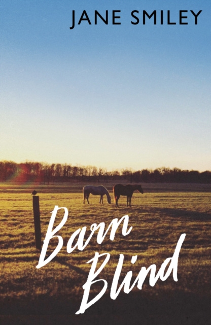 E-kniha Barn Blind Jane Smiley
