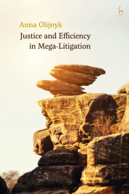 E-book Justice and Efficiency in Mega-Litigation Olijnyk Anna Olijnyk