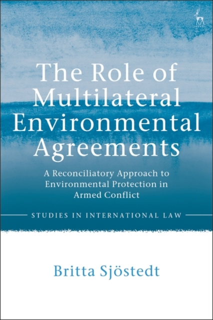 E-knjiga Role of Multilateral Environmental Agreements Sjostedt Britta Sjostedt