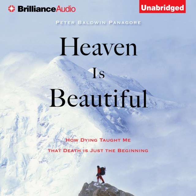Audiokniha Heaven Is Beautiful Peter Baldwin Panagore
