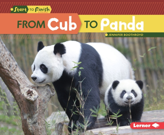 E-knjiga From Cub to Panda Jennifer Boothroyd