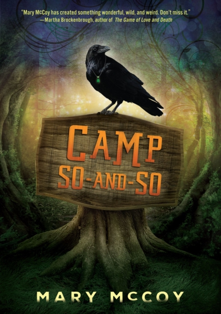 E-book Camp So-and-So Mary McCoy