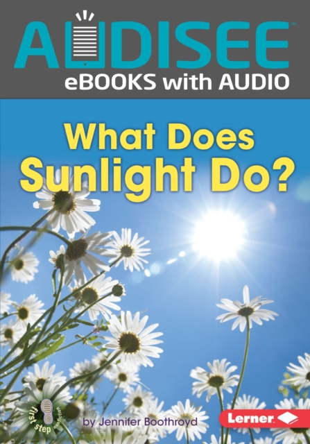 E-knjiga What Does Sunlight Do? Jennifer Boothroyd