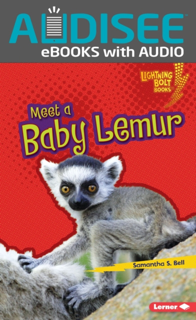 E-kniha Meet a Baby Lemur Samantha S. Bell