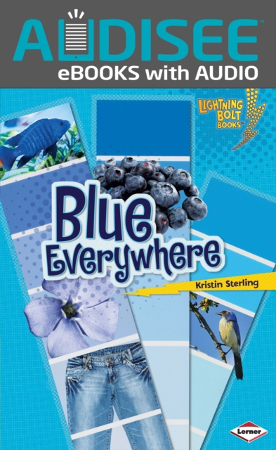 E-Book Blue Everywhere Kristin Sterling