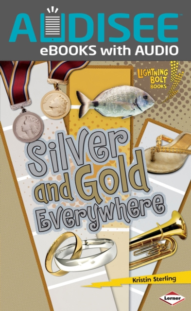 E-book Silver and Gold Everywhere Kristin Sterling