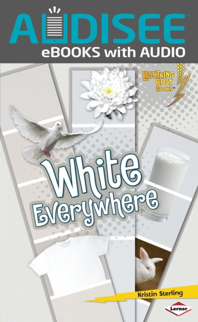 E-book White Everywhere Kristin Sterling