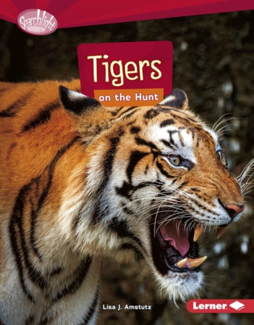 E-knjiga Tigers on the Hunt Lisa J. Amstutz