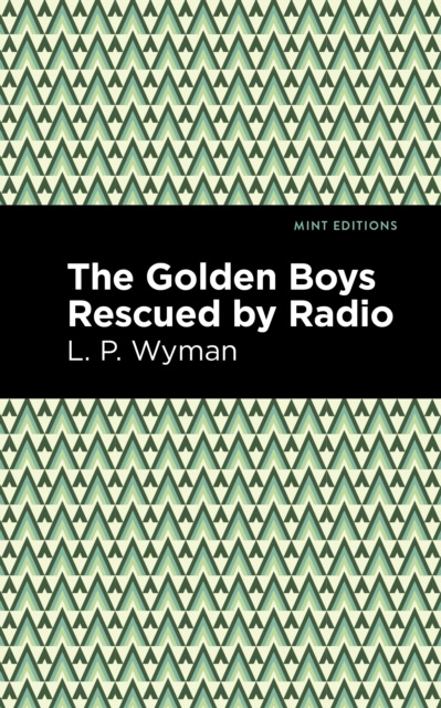 E-knjiga Golden Boys Rescued by Radio L. P. Wyman