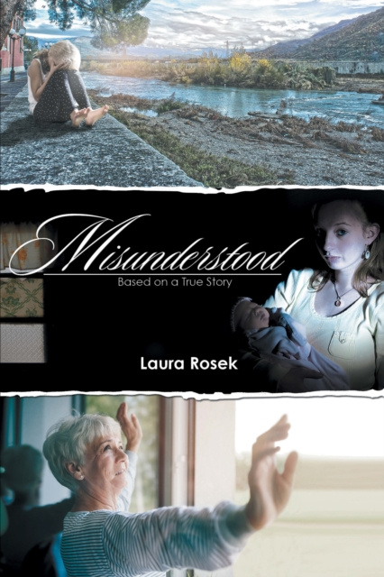 E-book Misunderstood Laura Rosek