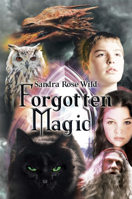 E-Book Forgotten Magic Sandra Rose Wild