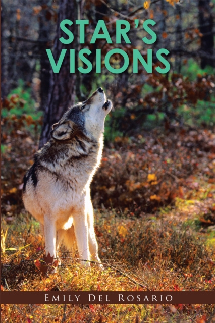 E-book Star's Visions Emily Del Rosario