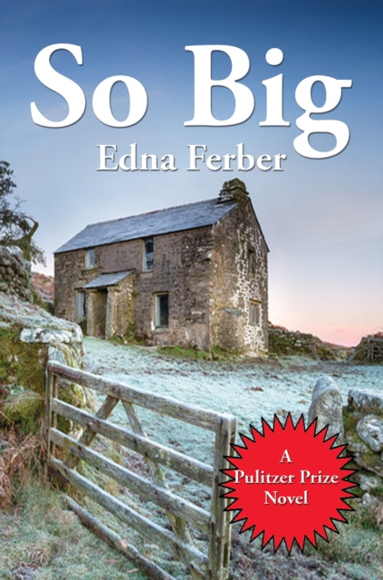 E-knjiga So Big Edna Ferber