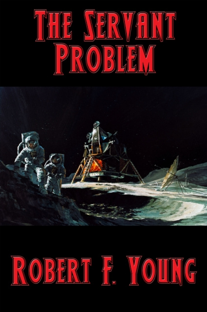 E-knjiga Servant Problem Robert F. Young