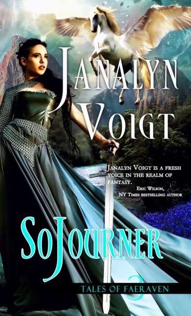 E-knjiga SoJourner Janalyn Voigt