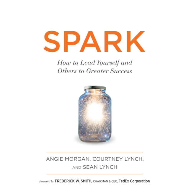 Аудиокнига Spark Angie Morgan