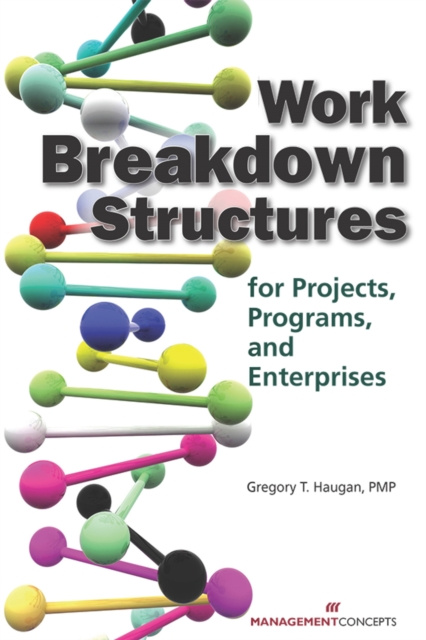 E-knjiga Work Breakdown Structures for Projects, Programs, and Enterprises PMP Gregory T.  Haugan PhD