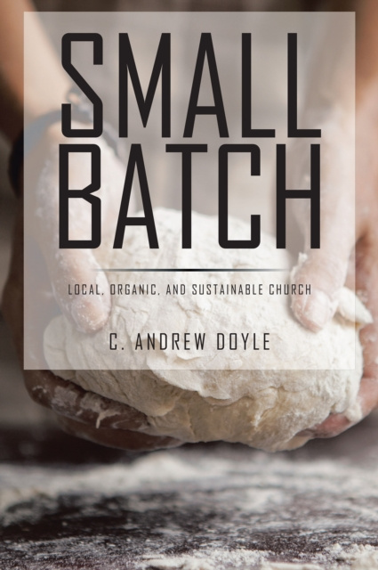 E-knjiga Small Batch C. Andrew Doyle