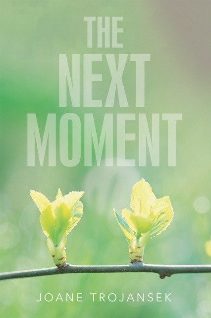 E-book Next Moment Joane Trojansek