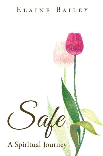 E-knjiga Safe Elaine Bailey