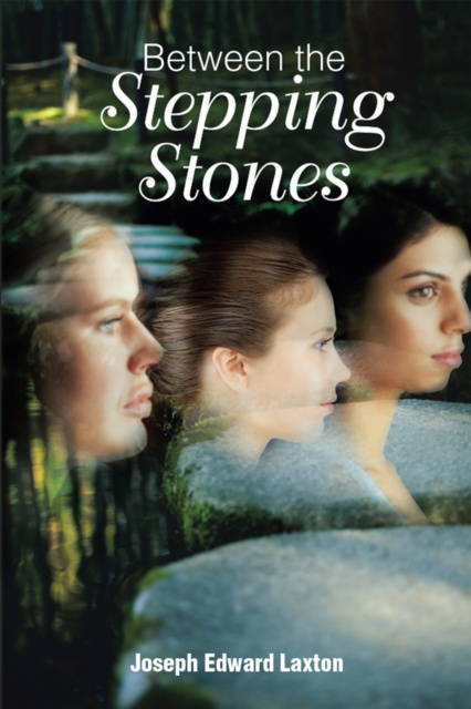 E-knjiga Between the Stepping Stones Joseph Edward Laxton