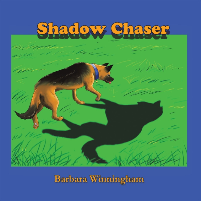 E-book Shadow Chaser Barbara Winningham