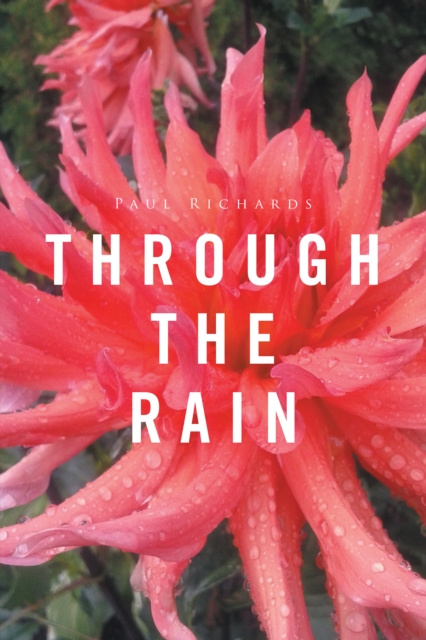 E-knjiga Through the Rain Paul Richards