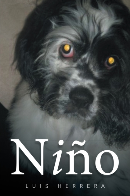 E-Book Nino Luis Herrera