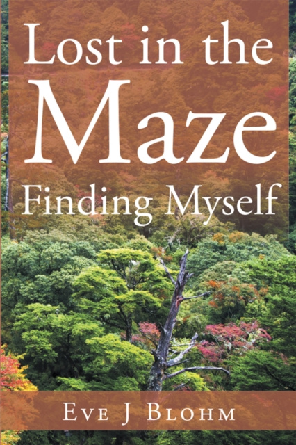E-book Lost in the Maze Finding Myself Eve J Blohm