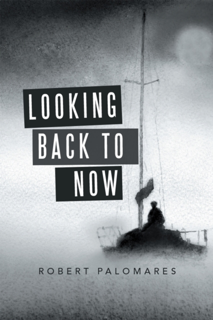 E-kniha Looking Back to Now Robert Palomares