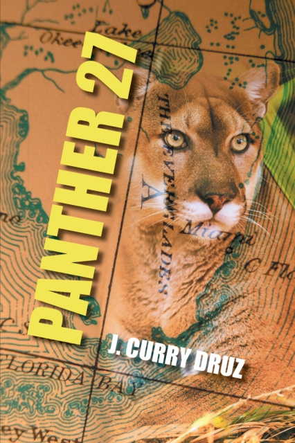 E-book Panther 27 J. Curry Druz