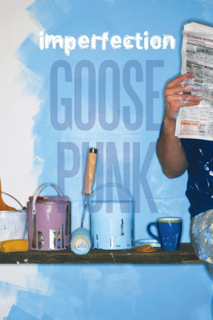 E-kniha Imperfection Goose Punk