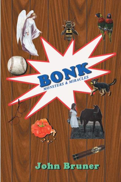 E-knjiga Bonk John Bruner