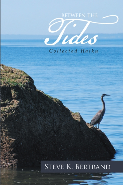 E-knjiga Between the Tides Steve K. Bertrand