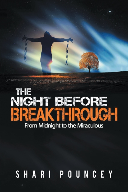 E-book Night Before Breakthrough Shari Pouncey