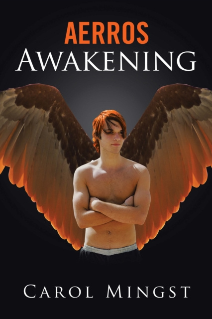 E-book Awakening Carol Mingst