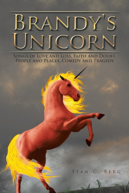 E-knjiga Brandy's Unicorn Stan C. Berg