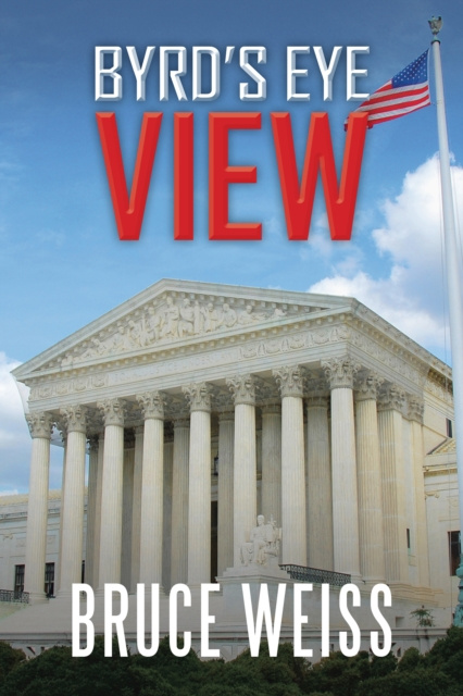 E-book Byrd's Eye View Bruce Weiss