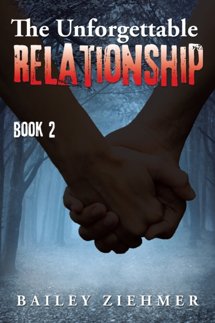 E-knjiga Unforgettable Relationship Bailey Ziehmer