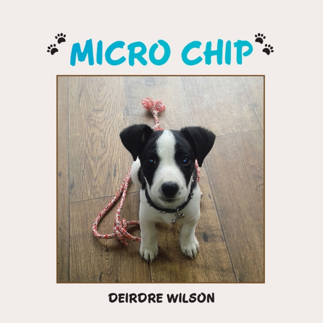 E-knjiga Micro Chip Deirdre Wilson