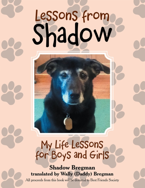 E-book Lessons from Shadow Shadow Bregman
