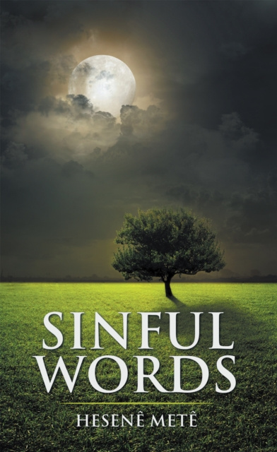 E-knjiga Sinful Words Hesene Mete