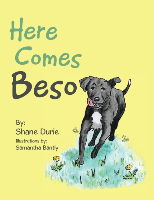 E-book Here Comes Beso Shane Durie