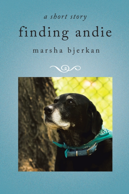 E-book Finding Andie Marsha Bjerkan
