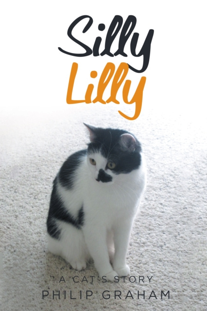 E-knjiga Silly Lilly Philip Graham