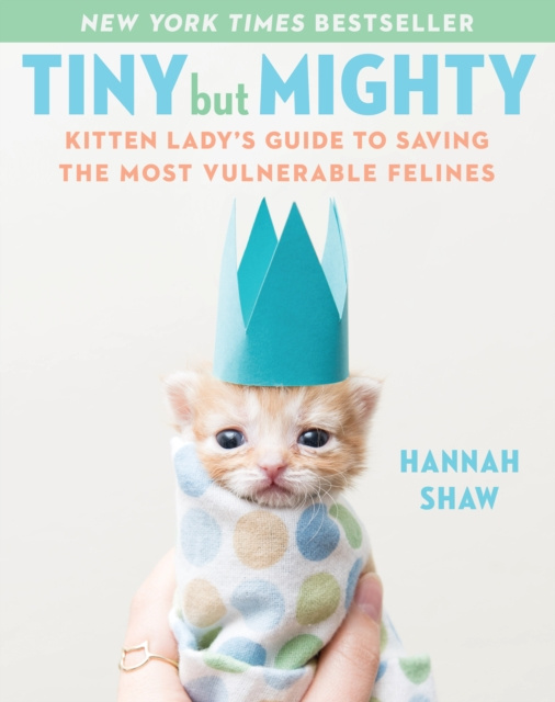E-knjiga Tiny But Mighty Hannah Shaw